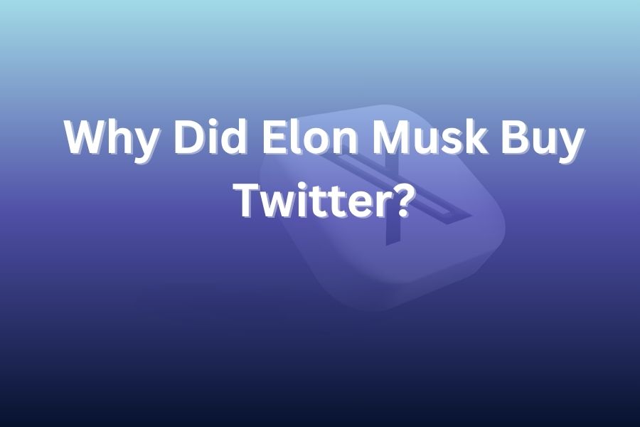 Why Did Elon Musk Buy Twitter? Unlocking the Real Reasons